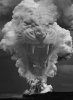 IN-HELL-TIGERS